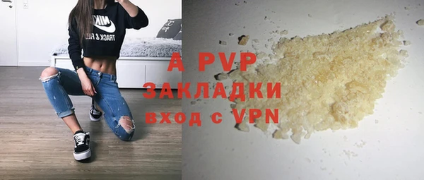 дмт Абаза